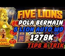 Info Slot 5 Lions Hari Ini Pola Slot Gacor